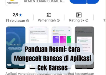 Panduan Resmi: Cara Mengecek Bansos di Aplikasi Cek Bansos