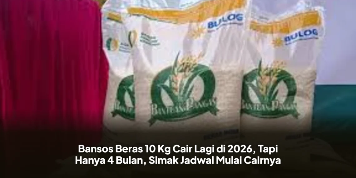 Bansos Beras 10 Kg Cair Lagi di 2026, Tapi Hanya 4 Bulan, Simak Jadwal Mulai Cairnya