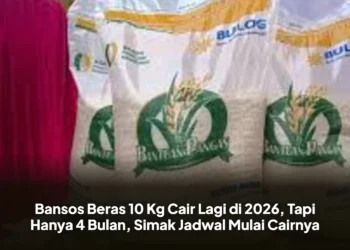 Bansos Beras 10 Kg Cair Lagi di 2026, Tapi Hanya 4 Bulan, Simak Jadwal Mulai Cairnya