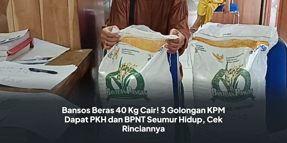 Bansos Beras 40 Kg Cair! 3 Golongan KPM Dapat PKH dan BPNT Seumur Hidup, Cek Rinciannya