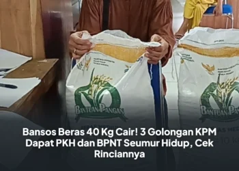 Bansos Beras 40 Kg Cair! 3 Golongan KPM Dapat PKH dan BPNT Seumur Hidup, Cek Rinciannya