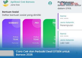 Cara Cek dan Perbaiki Desil DTSEN untuk Bansos 2026