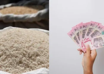 Panduan Lengkap Cek Penerima BPNT, PKH, dan Bansos Beras 2026 Online