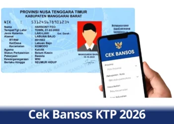 Cara Cek Bansos KTP Online, Bansos 600 Ribu