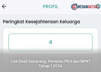 Cek Desil Sekarang, Penentu PKH dan BPNT Tahap 1 2026