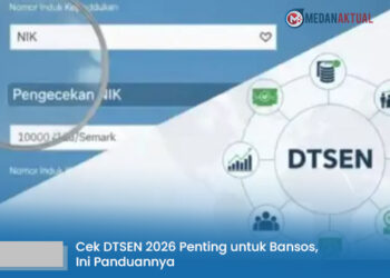 Cek DTSEN 2026 Penting untuk Bansos, Ini Panduannya