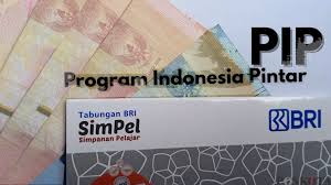 Tips agar Pengajuan PIP Tidak Ditolak