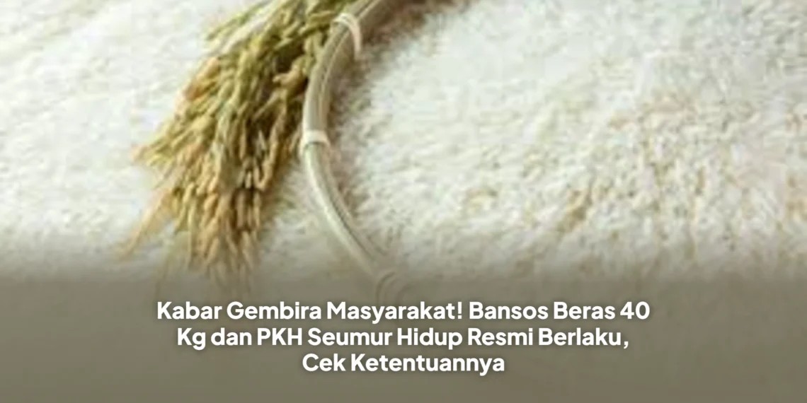 Kabar Gembira Masyarakat! Bansos Beras 40 Kg dan PKH Seumur Hidup Resmi Berlaku, Cek Ketentuannya