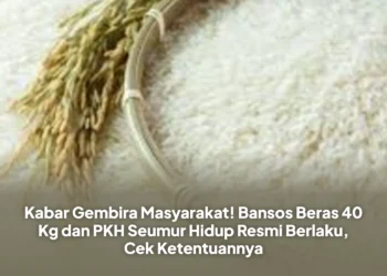 Kabar Gembira Masyarakat! Bansos Beras 40 Kg dan PKH Seumur Hidup Resmi Berlaku, Cek Ketentuannya