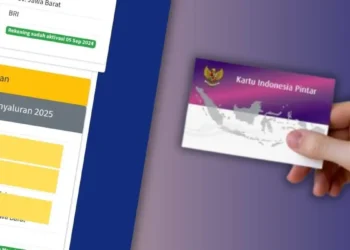 Langkah Agar Permohonan PIP Lolos Persetujuan