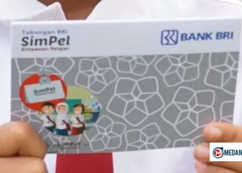 PIP 2026 Dibuka Bulan Februari, Panduan Pendaftaran untuk Siswa TK–SMA