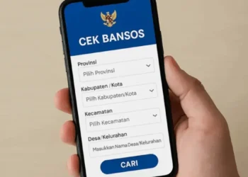 Panduan Cepat Memastikan Data Bansos Menggunakan HP