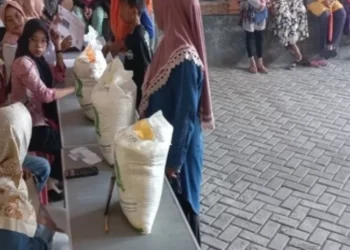 Tahun 2026 Bansos Beras Masih Berlanjut, KPM Dapat 40 Kg