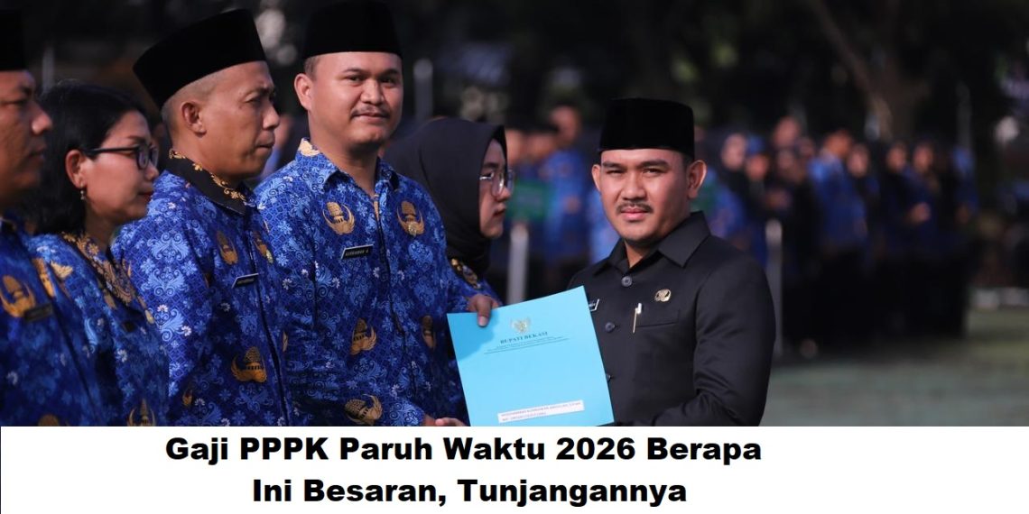 Gaji PPPK Paruh Waktu 2026 Berapa? Ini Besaran, Tunjangannya