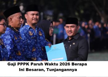 Gaji PPPK Paruh Waktu 2026 Berapa? Ini Besaran, Tunjangannya