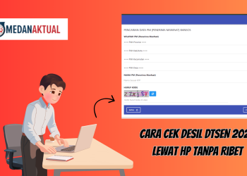 Cara Cek Desil DTSEN 2026 Lewat HP Tanpa Ribet