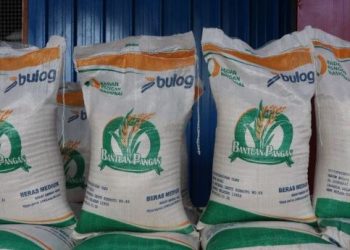 Bansos Beras 664 Ribu Ton Disalurkan ke 33 Juta Penerima, Jumlah Penerima Bertambah