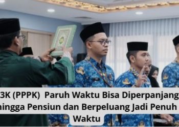 P3K (PPPK)  Paruh Waktu Bisa Diperpanjang hingga Pensiun dan Berpeluang Jadi Penuh Waktu