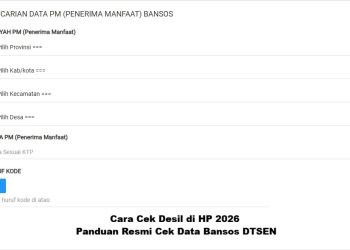 Cara Cek Desil di HP 2026, Panduan Resmi Cek Data Bansos DTSEN