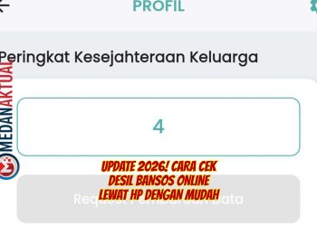 Update 2026! Cara Cek Desil Bansos Online Lewat HP dengan Mudah