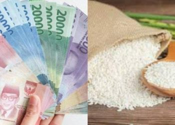 Panduan Cek Bansos Kemensos Terbaru 2026 Melalui Web Kemensos Dan Apikasi, Simak Langkah-Langkahnya