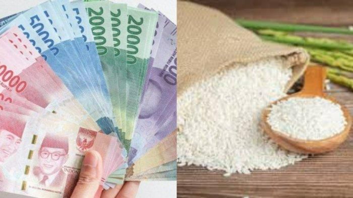 Panduan Cek Bansos Kemensos Terbaru 2026 Melalui Web Kemensos Dan Apikasi, Simak Langkah-Langkahnya