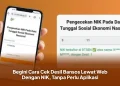 Begini Cara Cek Desil Bansos Lewat Web Dengan NIK, Tanpa Perlu Aplikasi