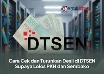 Cara Cek dan Turunkan Desil di DTSEN Supaya Lolos PKH dan Sembako