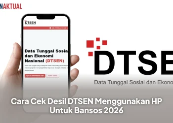 Cara Cek Desil DTSEN Menggunakan HP Untuk Bansos 2026