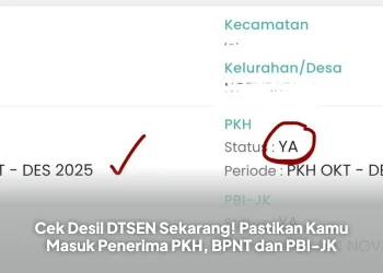 Cek Desil DTSEN Sekarang! Pastikan Kamu Masuk Penerima PKH, BPNT dan PBI-JK