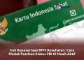 Cek Kepesertaan BPJS Kesehatan: Cara Mudah Pastikan Status PBI JK Masih Aktif