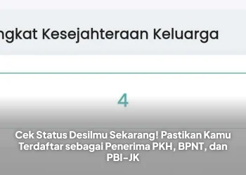 Cek Status Desilmu Sekarang! Pastikan Kamu Terdaftar sebagai Penerima PKH, BPNT, dan PBI-JK
