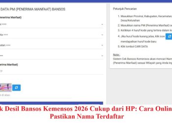 Cek Desil Bansos Kemensos 2026 Cukup dari HP: Cara Online & Pastikan Nama Terdaftar
