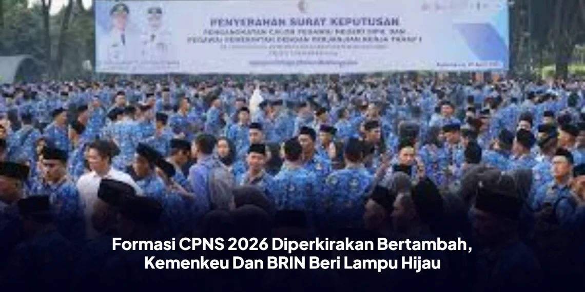 Formasi CPNS 2026 Diperkirakan Bertambah, Kemenkeu Dan BRIN Beri Lampu Hijau