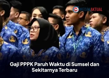 Gaji PPPK Paruh Waktu di Sumsel dan Sekitarnya Terbaru