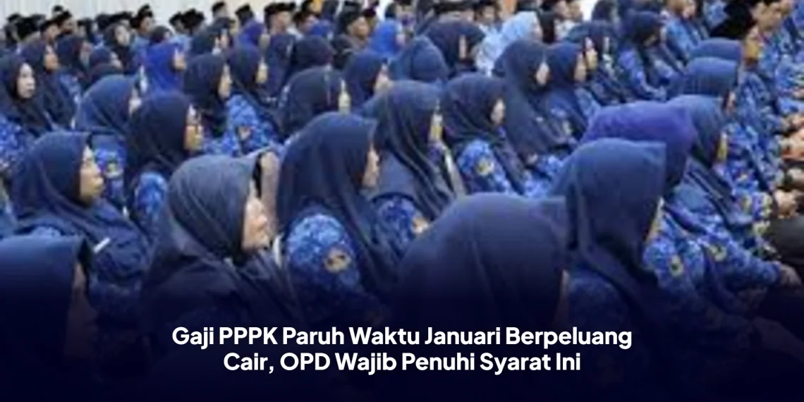 Gaji PPPK Paruh Waktu Januari Berpeluang Cair, OPD Wajib Penuhi Syarat Ini