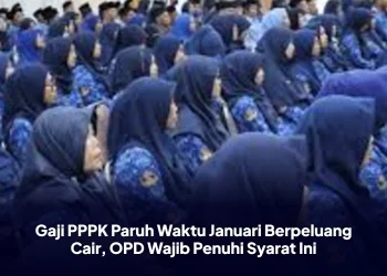 Gaji PPPK Paruh Waktu Januari Berpeluang Cair, OPD Wajib Penuhi Syarat Ini