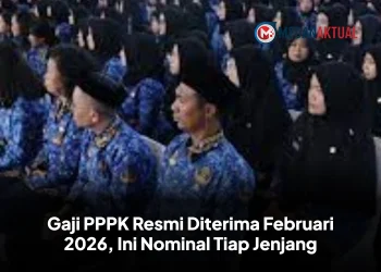 Gaji PPPK Resmi Diterima Februari 2026, Ini Nominal Tiap Jenjang