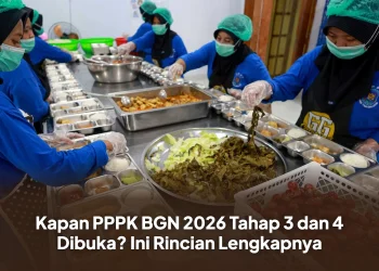 Kapan PPPK BGN 2026 Tahap 3 dan 4 Dibuka? Ini Rincian Lengkapnya