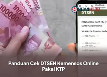 Panduan Cek DTSEN Kemensos Online Pakai KTP