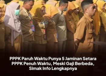 PPPK Paruh Waktu Punya 5 Jaminan Setara PPPK Penuh Waktu, Meski Gaji Berbeda, Simak Info Lengkapnya