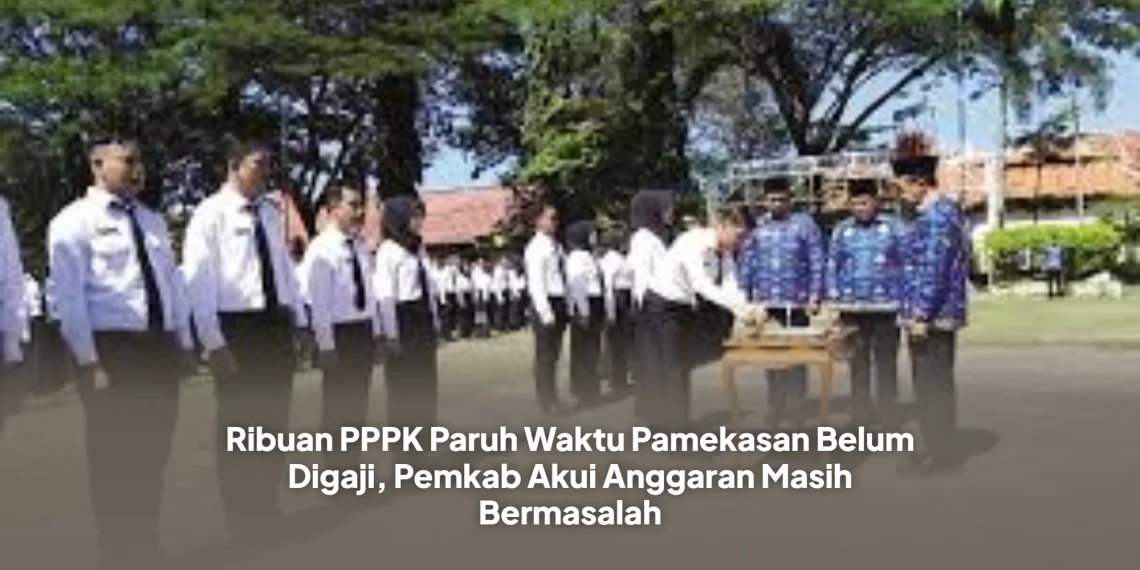 Ribuan PPPK Paruh Waktu Pamekasan Belum Digaji, Pemkab Akui Anggaran Masih Bermasalah