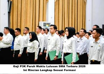 Gaji P3K Paruh Waktu Lulusan SMA Terbaru 2026: Ini Rincian Lengkap Sesuai Formasi