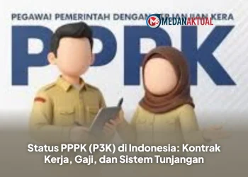 Status PPPK (P3K) di Indonesia: Kontrak Kerja, Gaji, dan Sistem Tunjangan