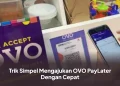 Trik Simpel Mengajukan OVO PayLater Dengan Cepat