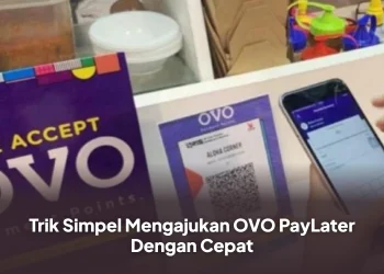 Trik Simpel Mengajukan OVO PayLater Dengan Cepat