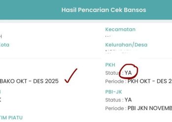 Cara Cek Bansos PKH 2026 Tahap 1 Pakai NIK KTP, Cek Status Penerima Secara Online