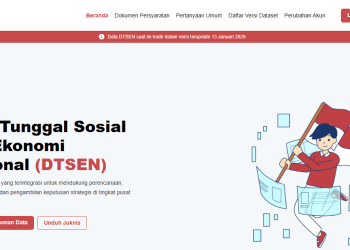 Apa Fungsi DTSEN? Ini Penjelasan Lengkapnya