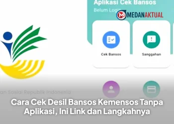 Cara Cek Desil Bansos Kemensos Tanpa Aplikasi, Ini Link dan Langkahnya