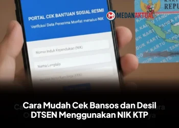 Cara Mudah Cek Bansos dan Desil DTSEN Menggunakan NIK KTP